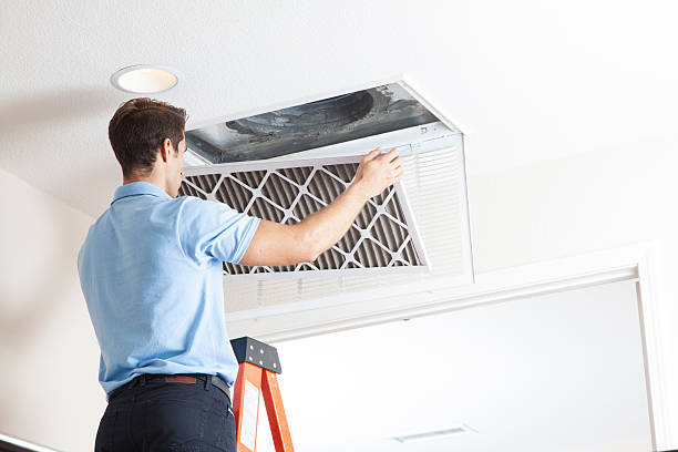 Best Residential HVAC services  in Forest, OH